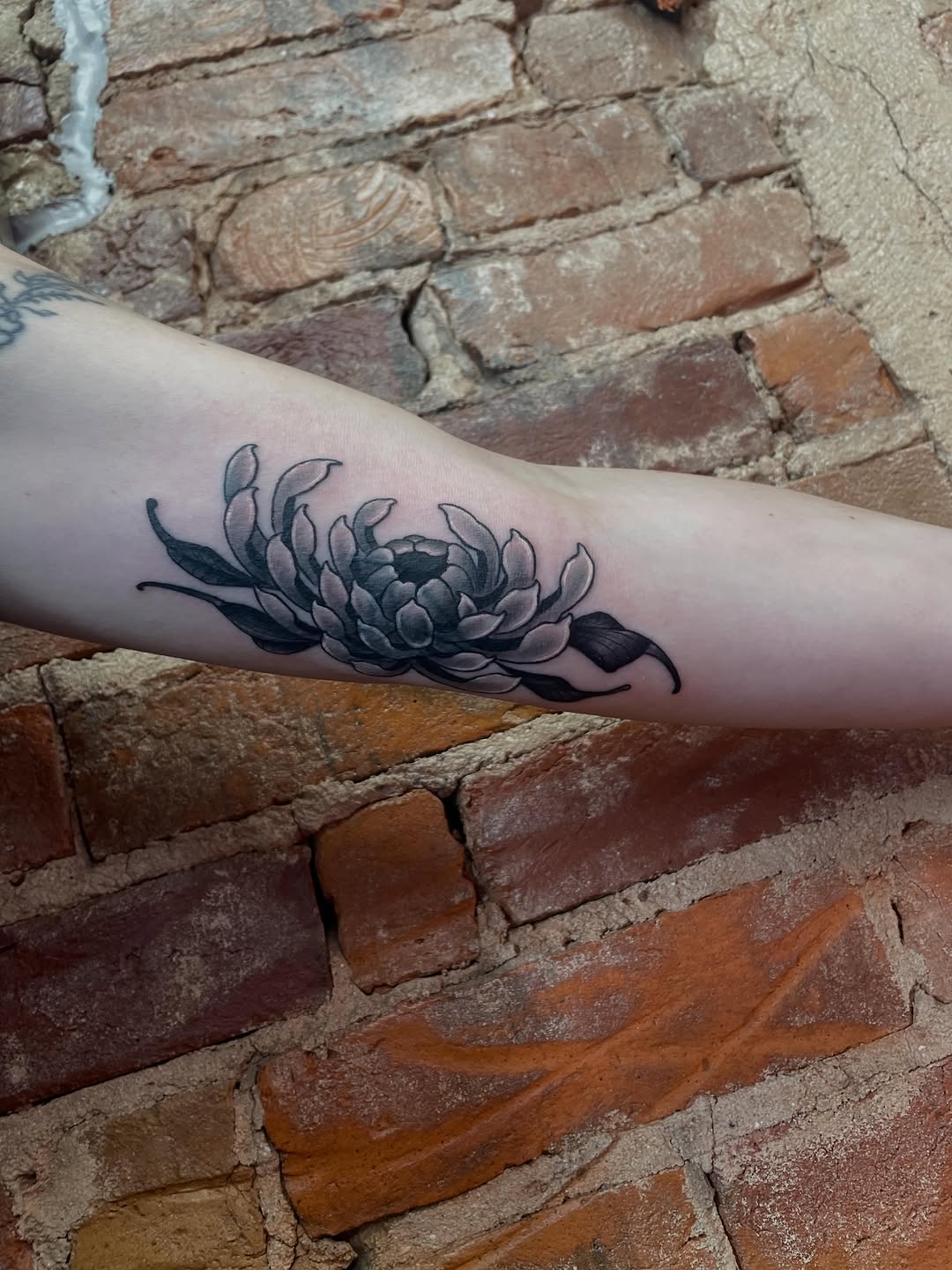 Tattoo by @auzzy.inkpirate — black_and_grey
