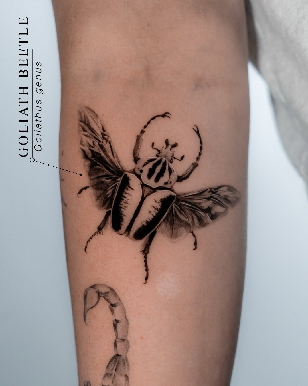 Tattoo by @turner_tattoos — realism, black_and_grey