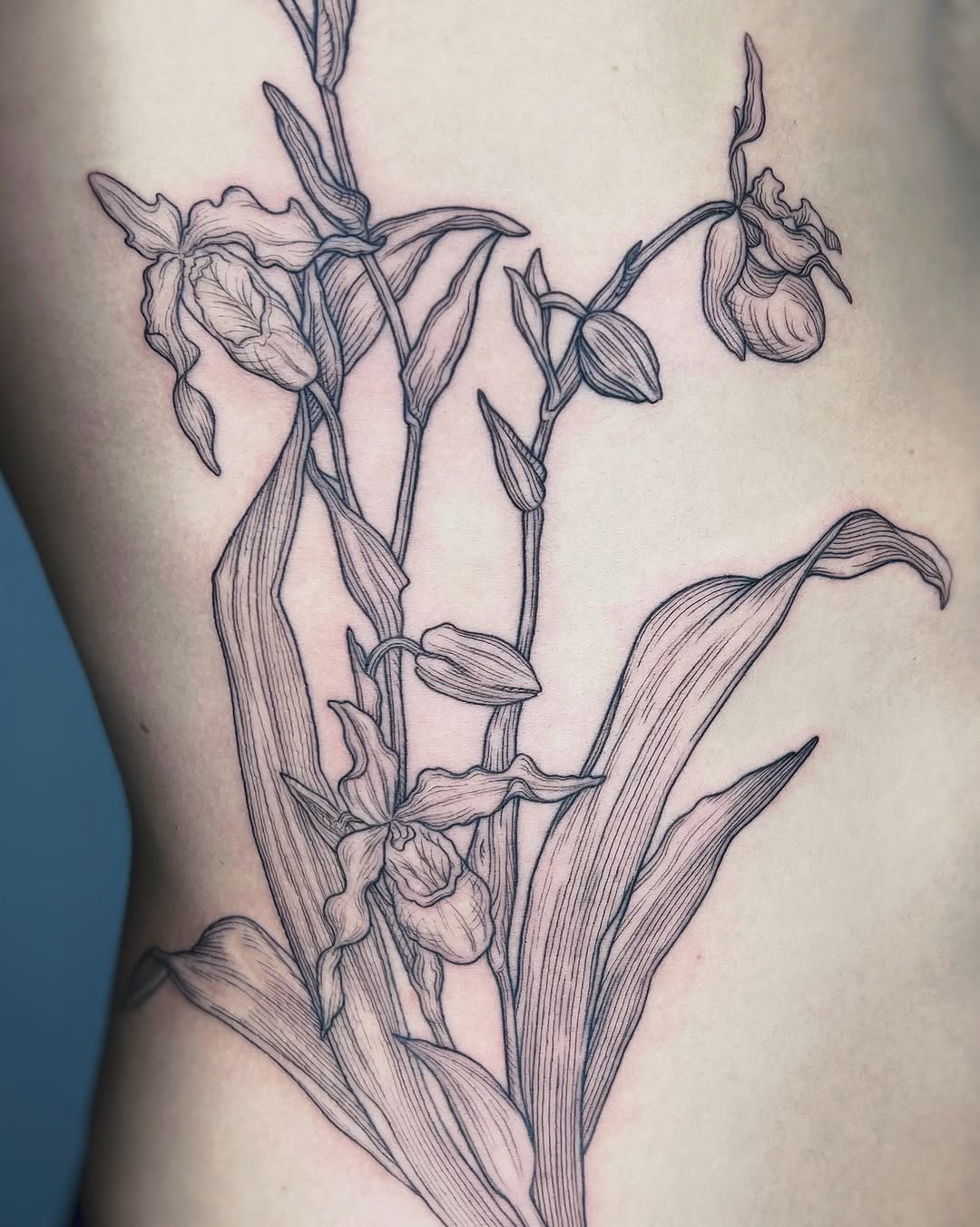 Tattoo by @noxttt โ fine_line