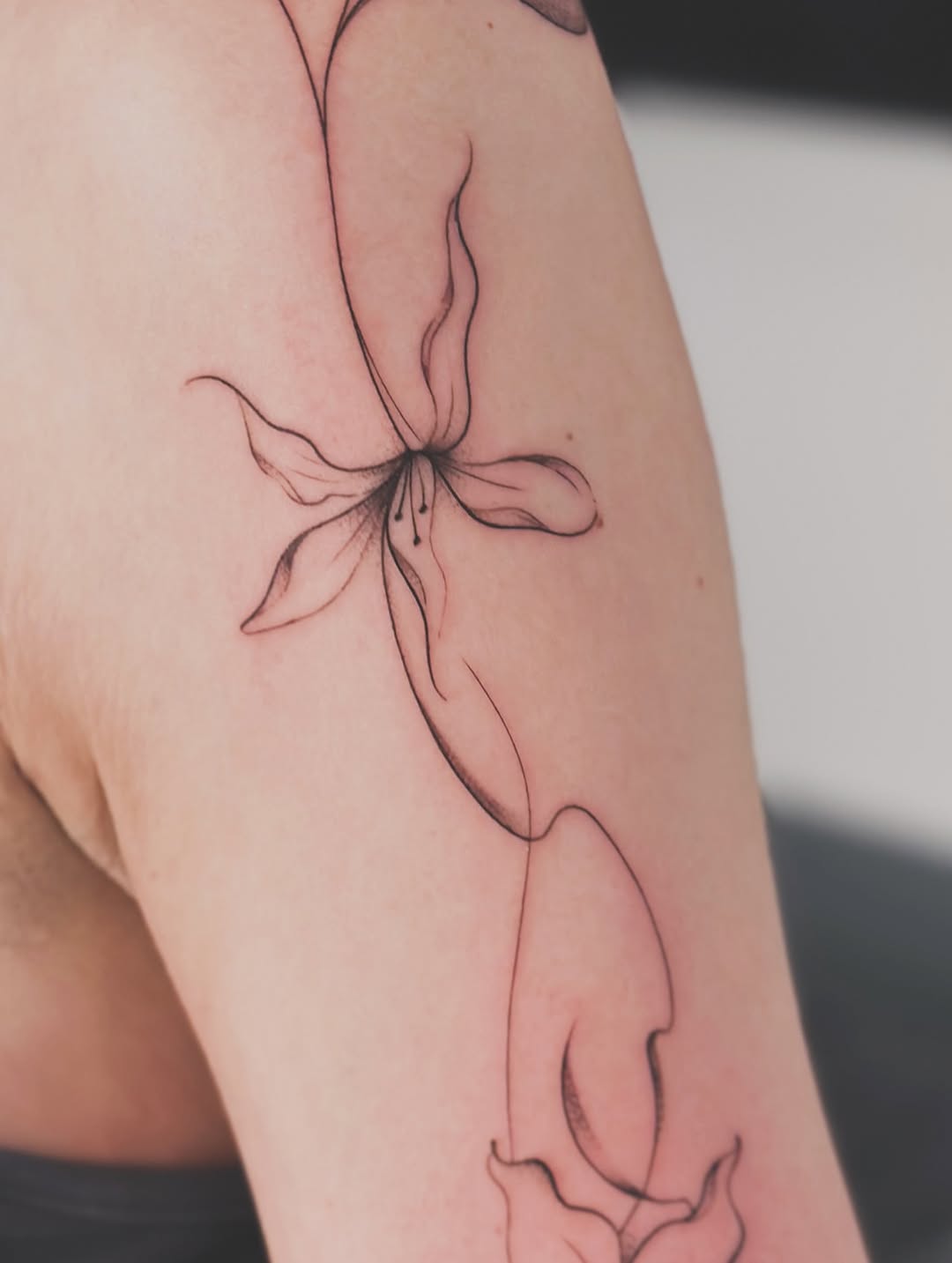 Tattoo by @richardtattooart β fine_line, black_and_grey