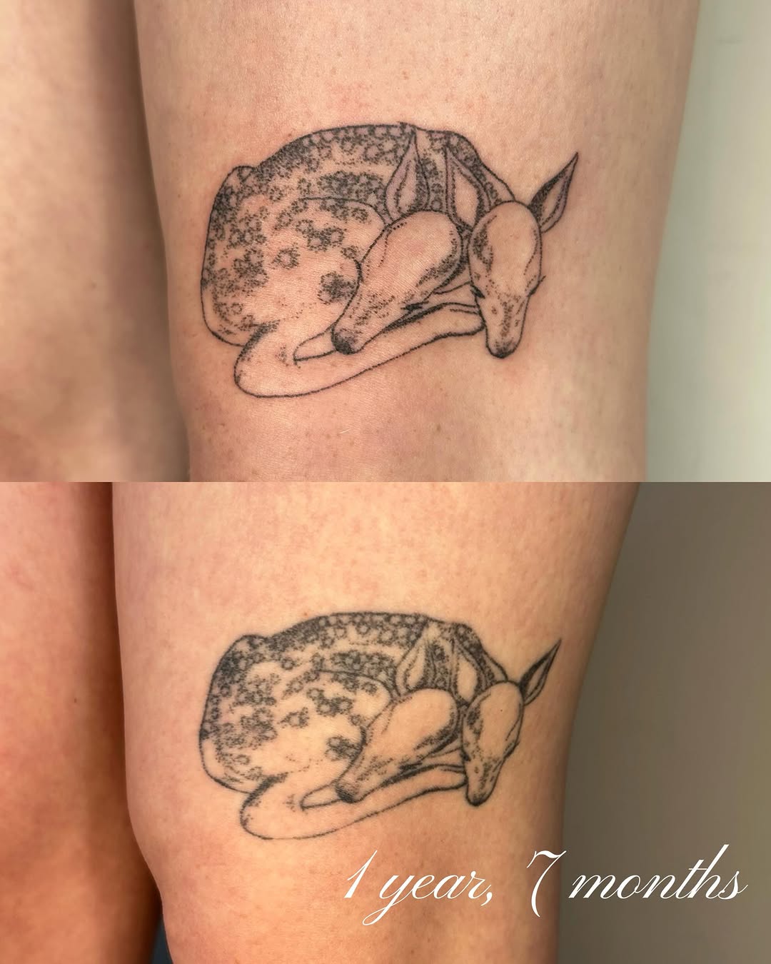 Tattoo by @glittergremliin — fine_line, illustrative