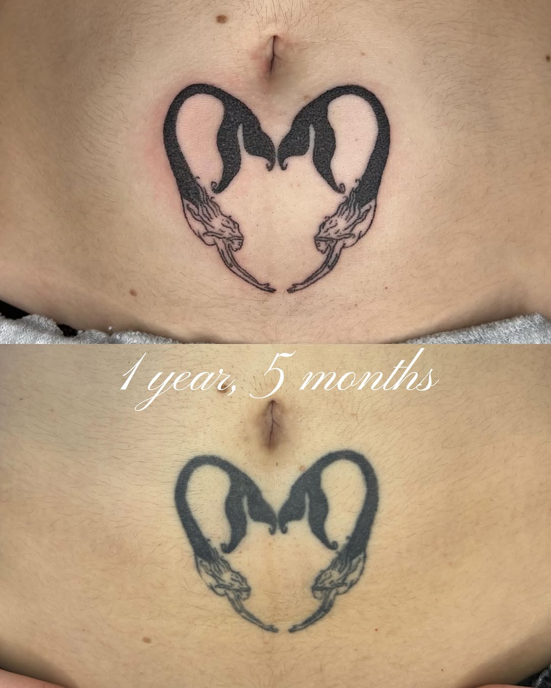 Tattoo by @glittergremliin — illustrative, blackwork