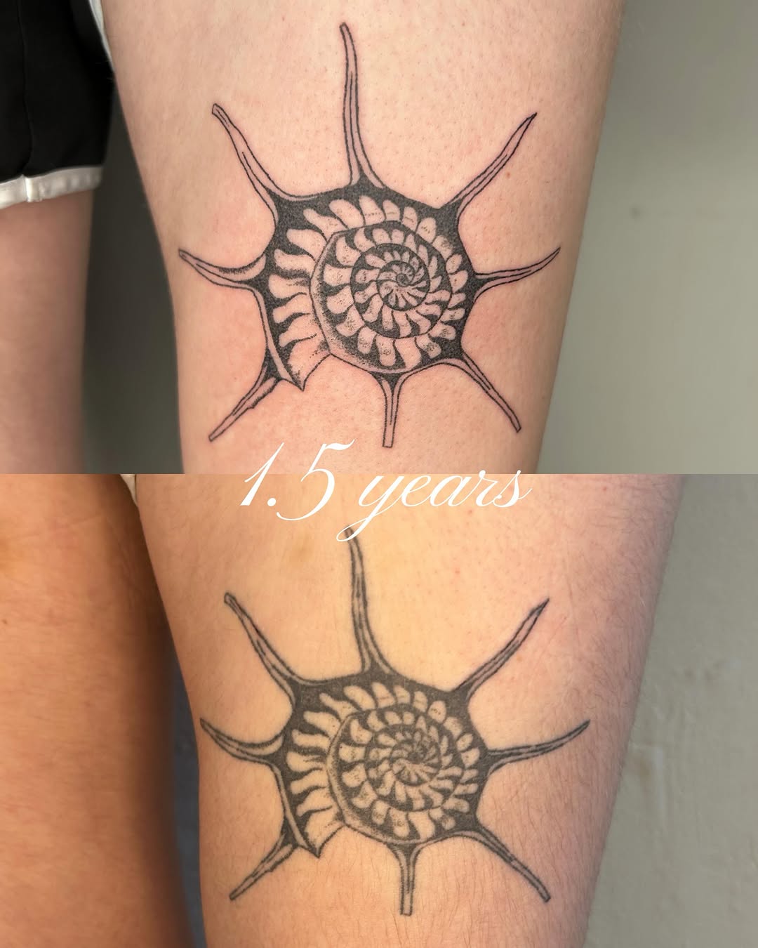 Tattoo by @glittergremliin — black_and_grey, dotwork
