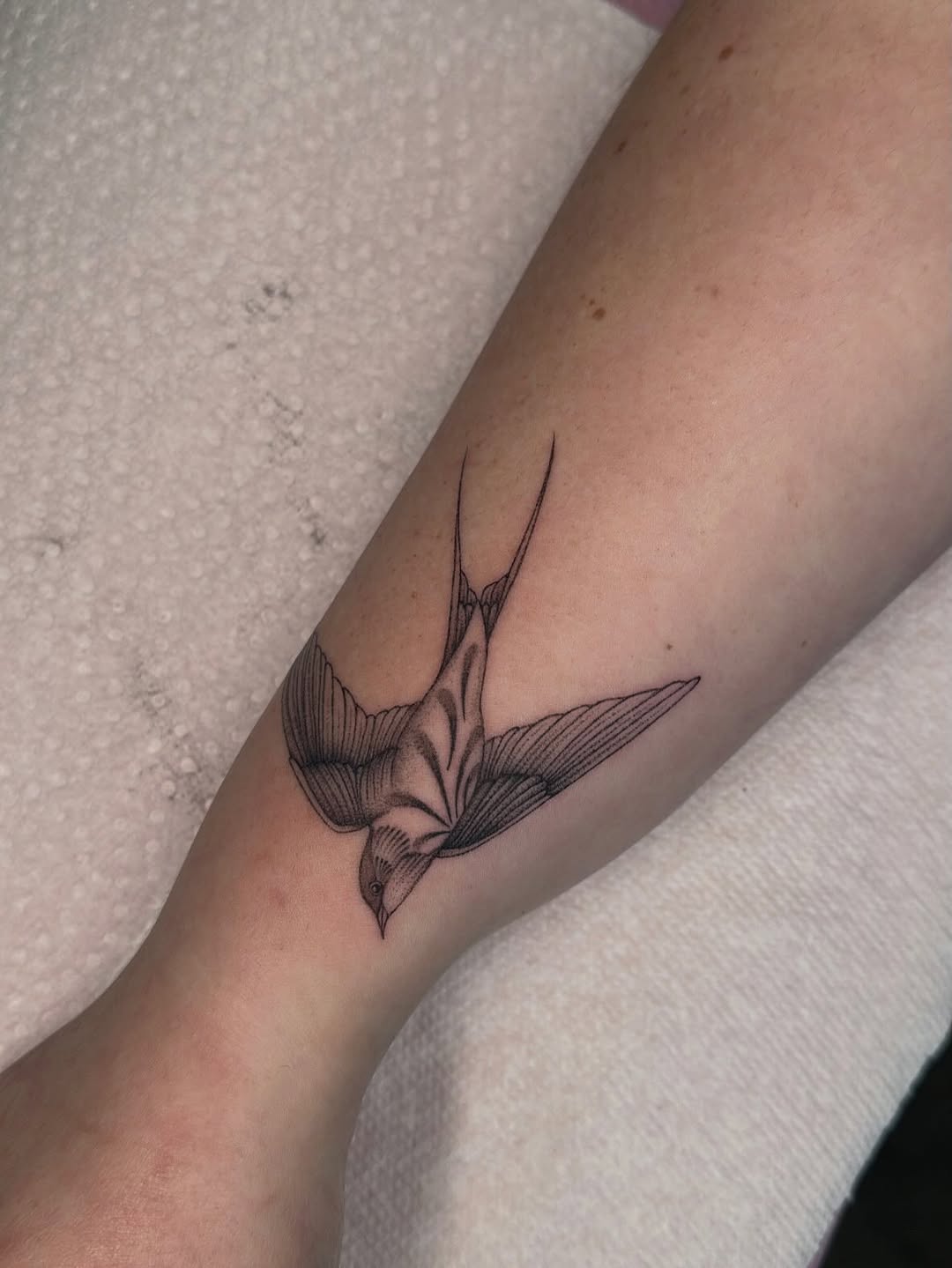 Tattoo by @ash.elrey — fine_line, black_and_grey