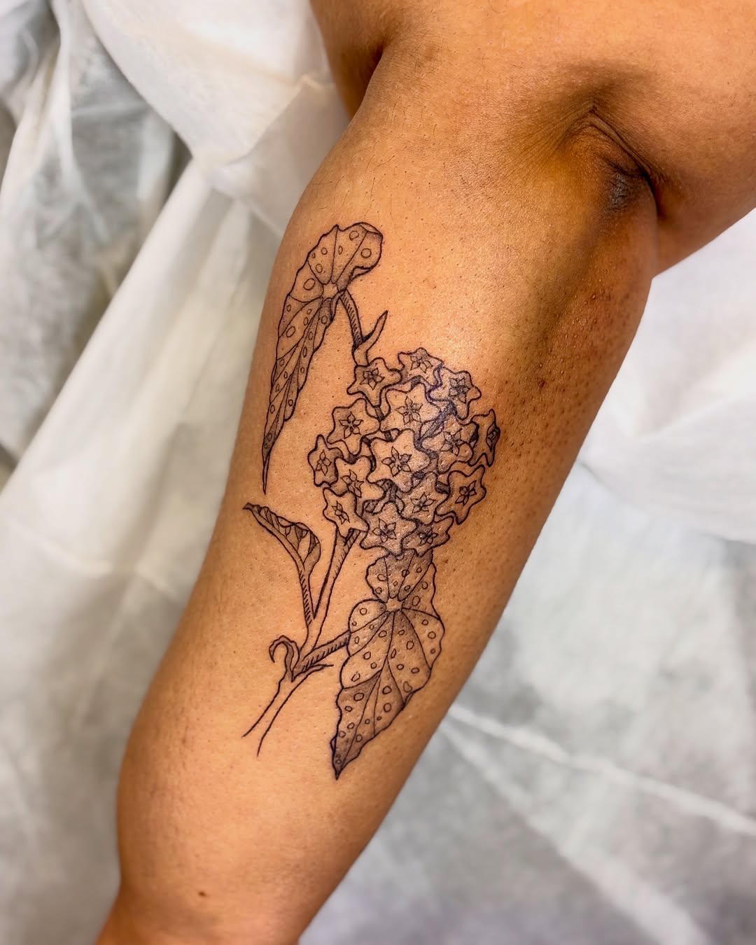 Tattoo by @sterlingstattoos — fine_line, illustrative