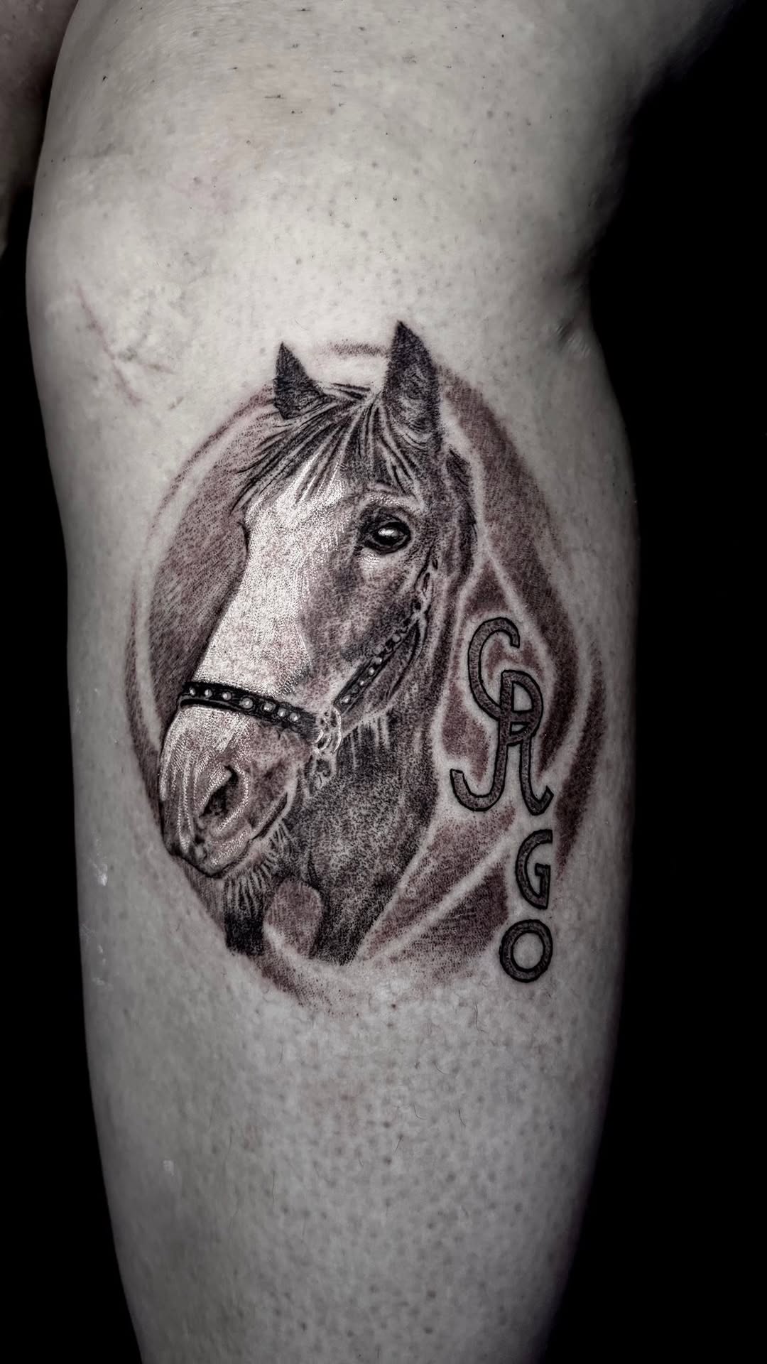 Tattoo by @stiffrakoonink โ realism, black_and_grey
