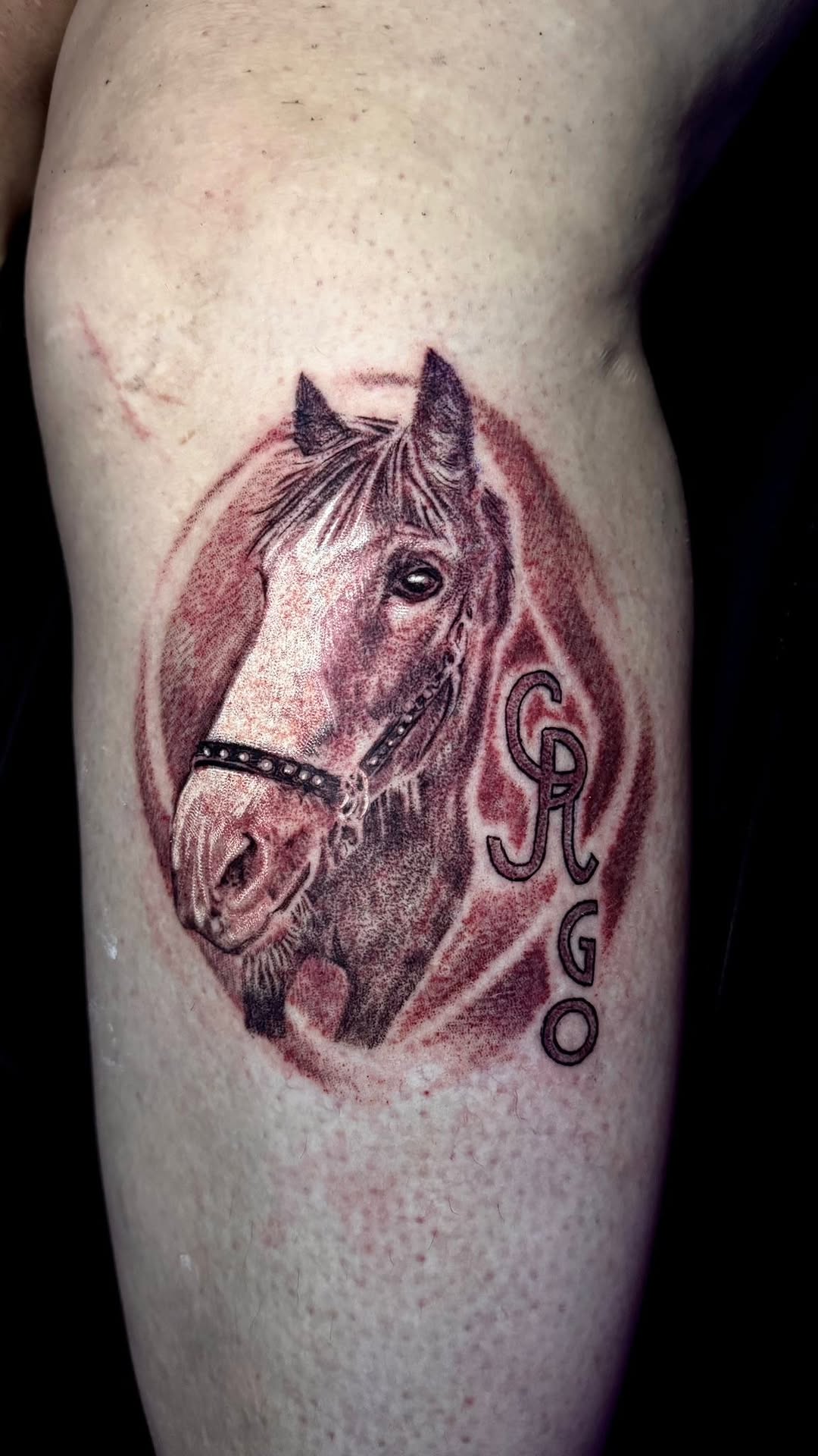 Tattoo by @stiffrakoonink โ realism, dotwork