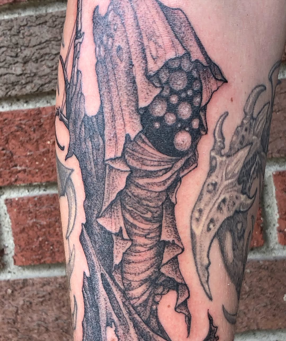 Tattoo by @sea.of.mercy — dark_realism, black_and_grey