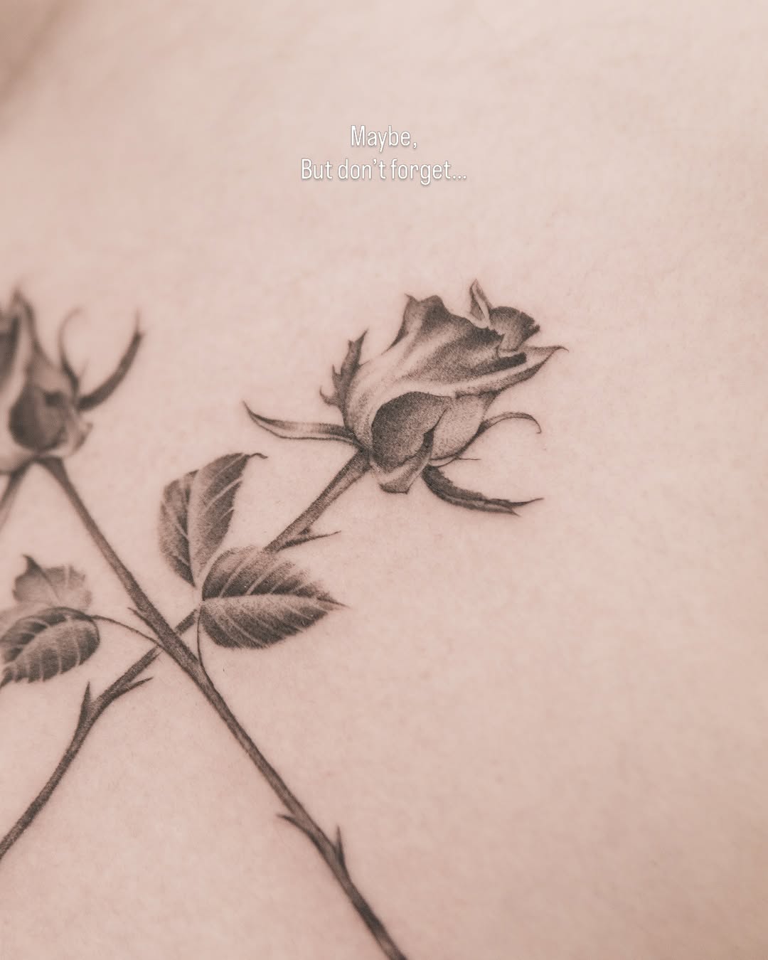 Tattoo by @joeysneedle — fine_line, black_and_grey