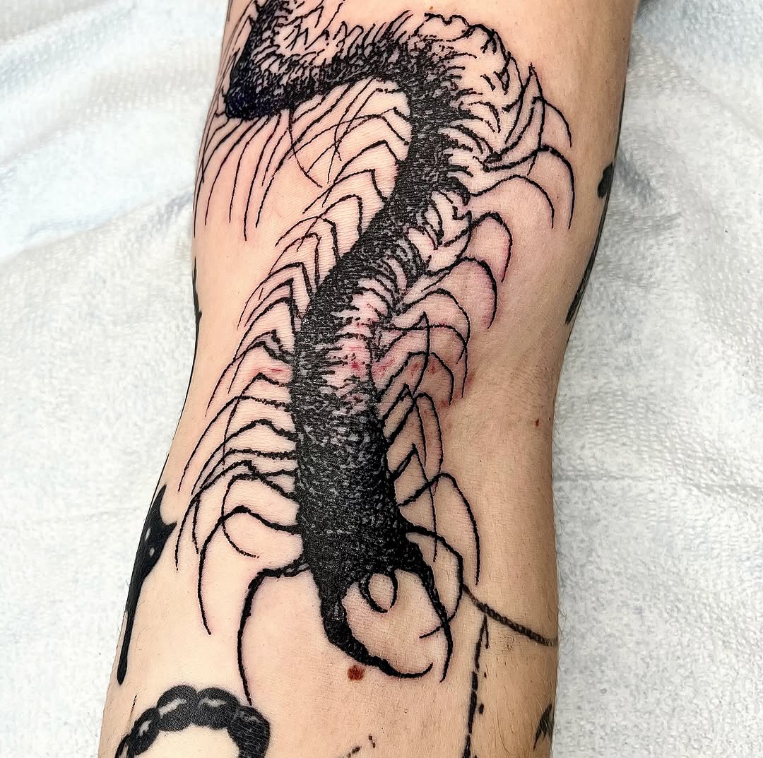 Tattoo by @noahvincenttattoo — blackwork, illustrative