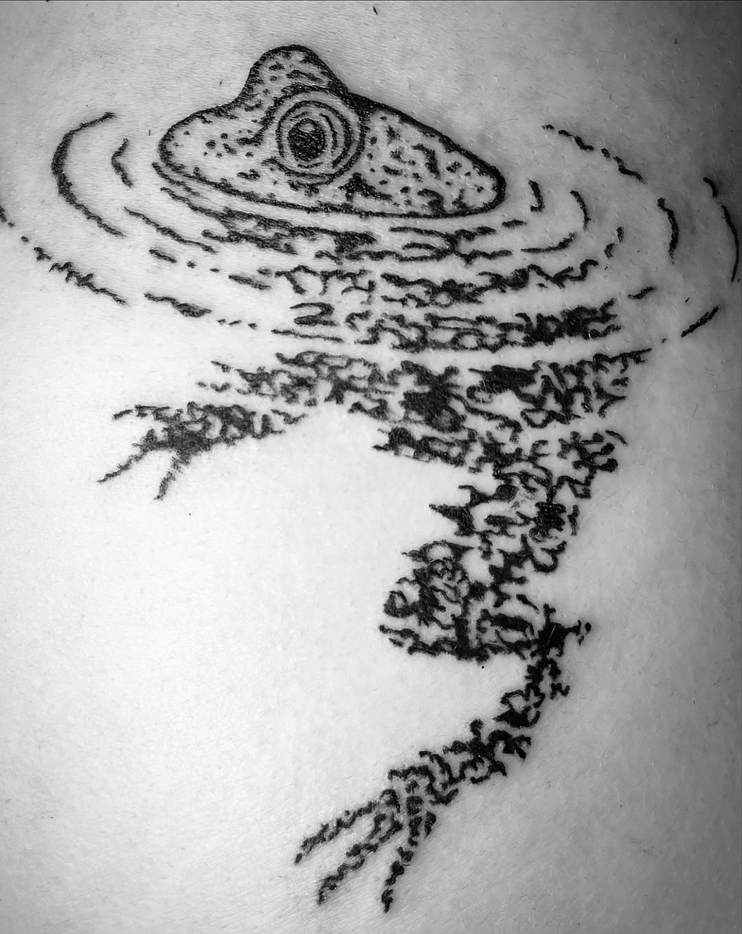 Tattoo by @walrus_milk — fine_line, dotwork