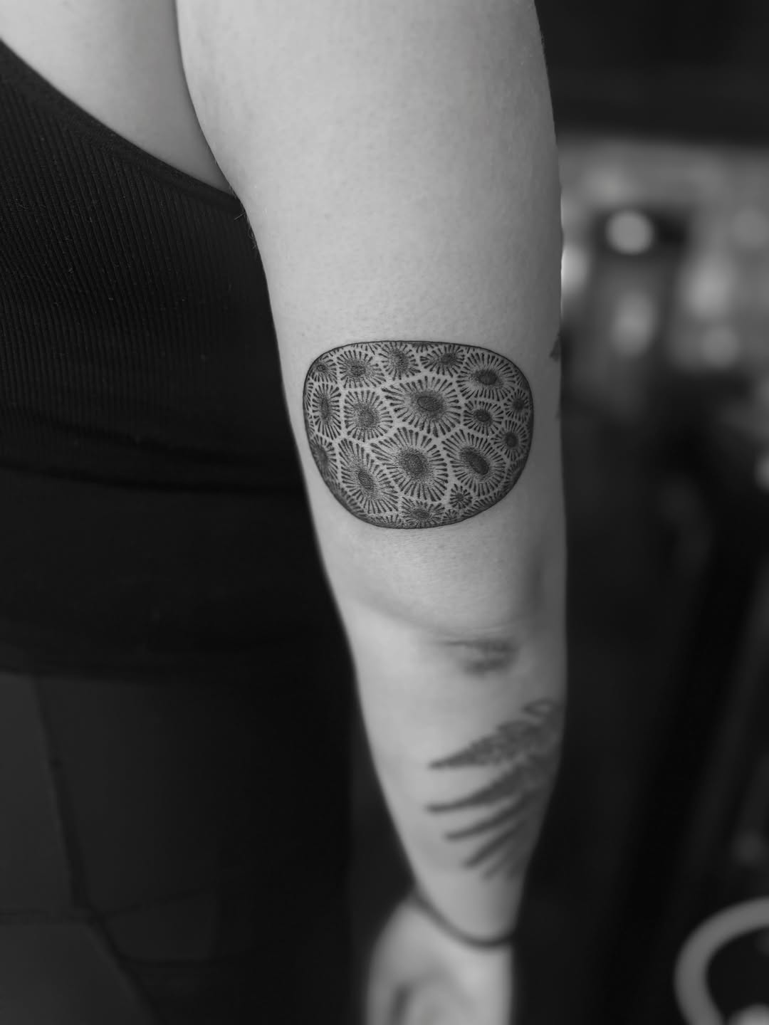 Tattoo by @alexbrooke — dotwork, ornamental