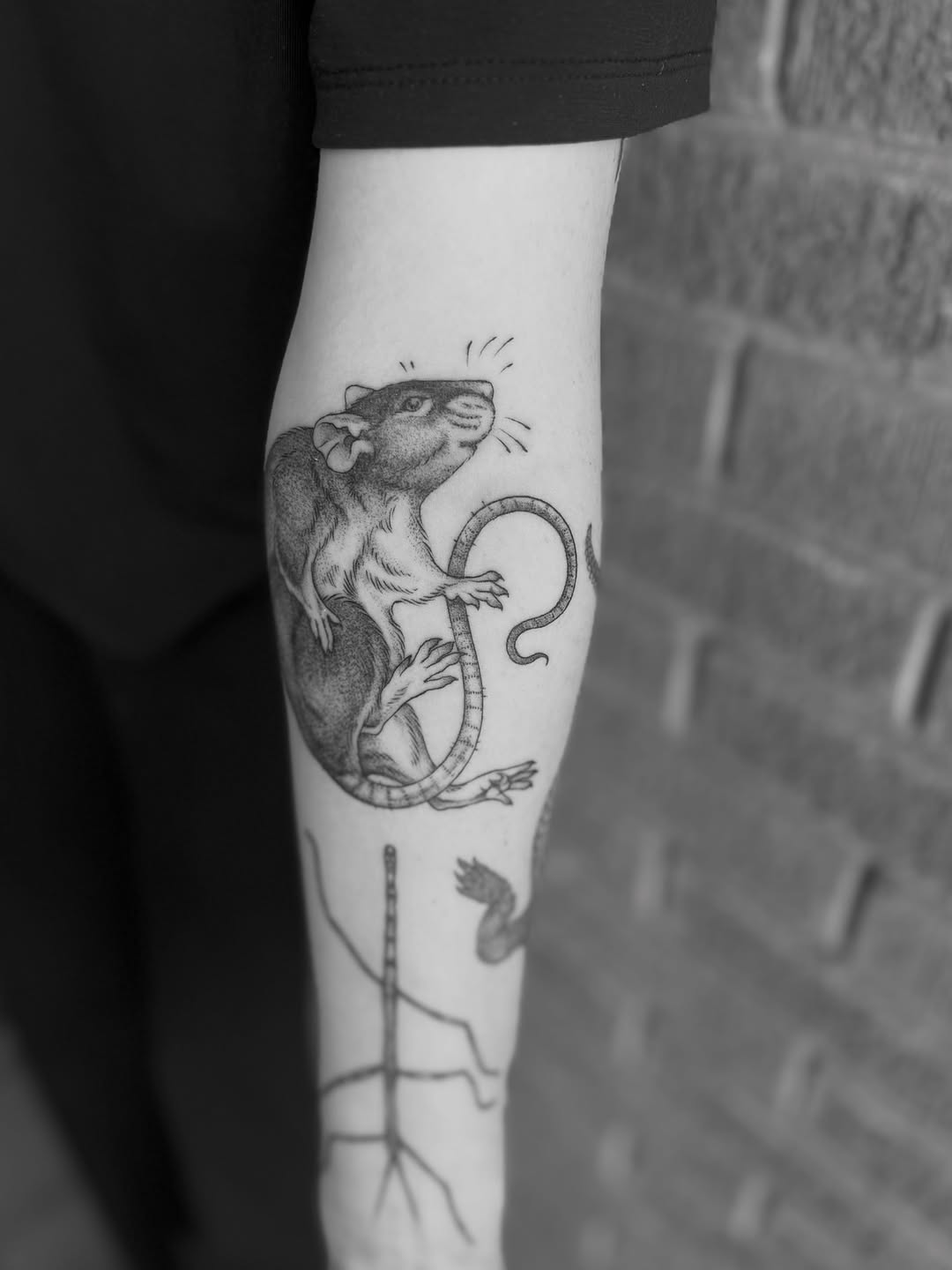 Tattoo by @alexbrooke — black_and_grey, realism