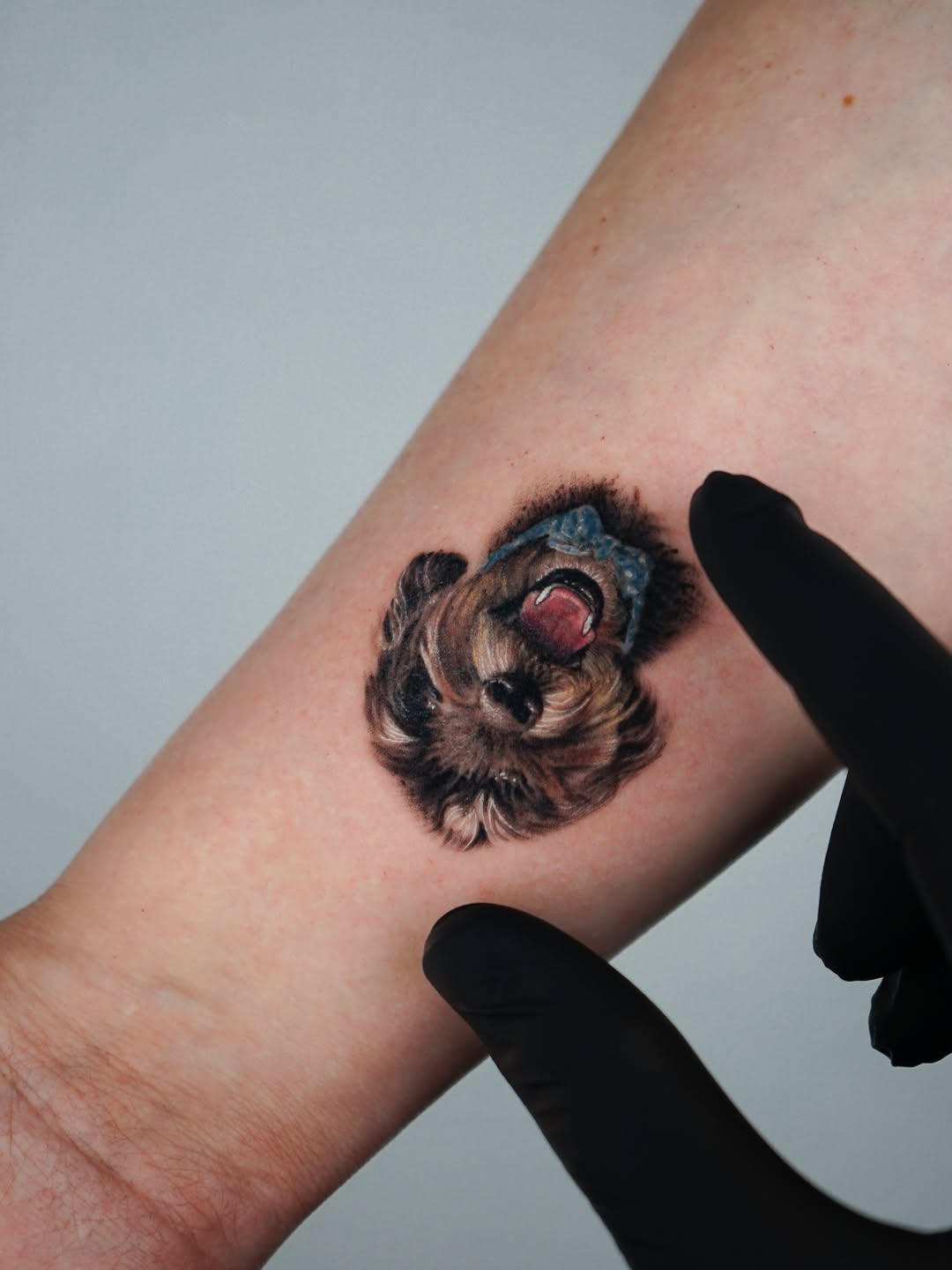 Tattoo by @falcontattooist — realism, fine_line