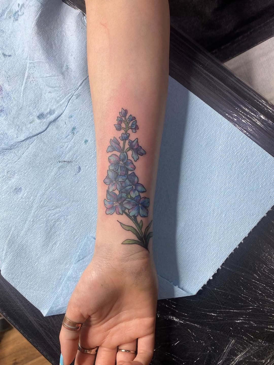 Tattoo by @tatsbyalexandra — fine_line, watercolor