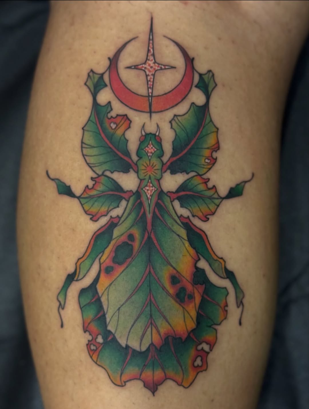 Tattoo by @bellalouisetattoo โ neo_traditional, illustrative