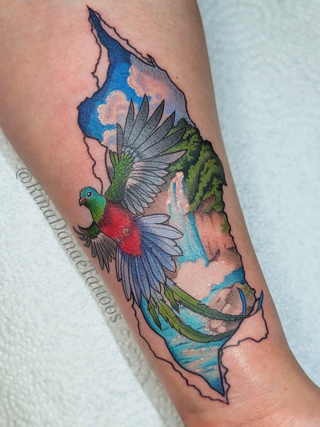 Tattoo by @rinadanae_tattoos β realism, illustrative