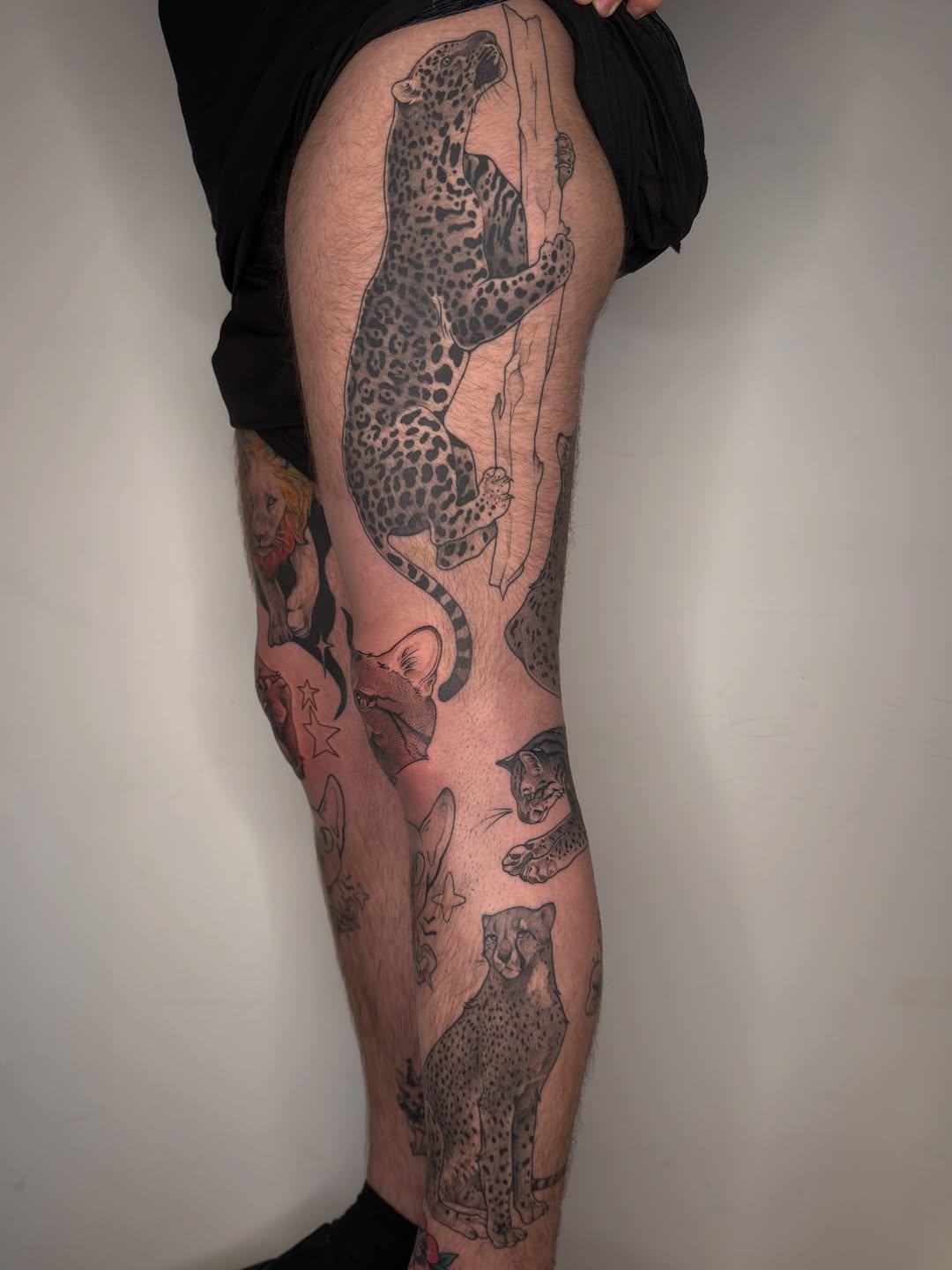 Tattoo by @juleghoul — realism, black_and_grey