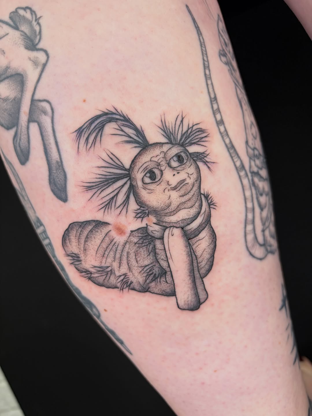 Tattoo by @poppyoliviatattoo — black_and_grey, realism