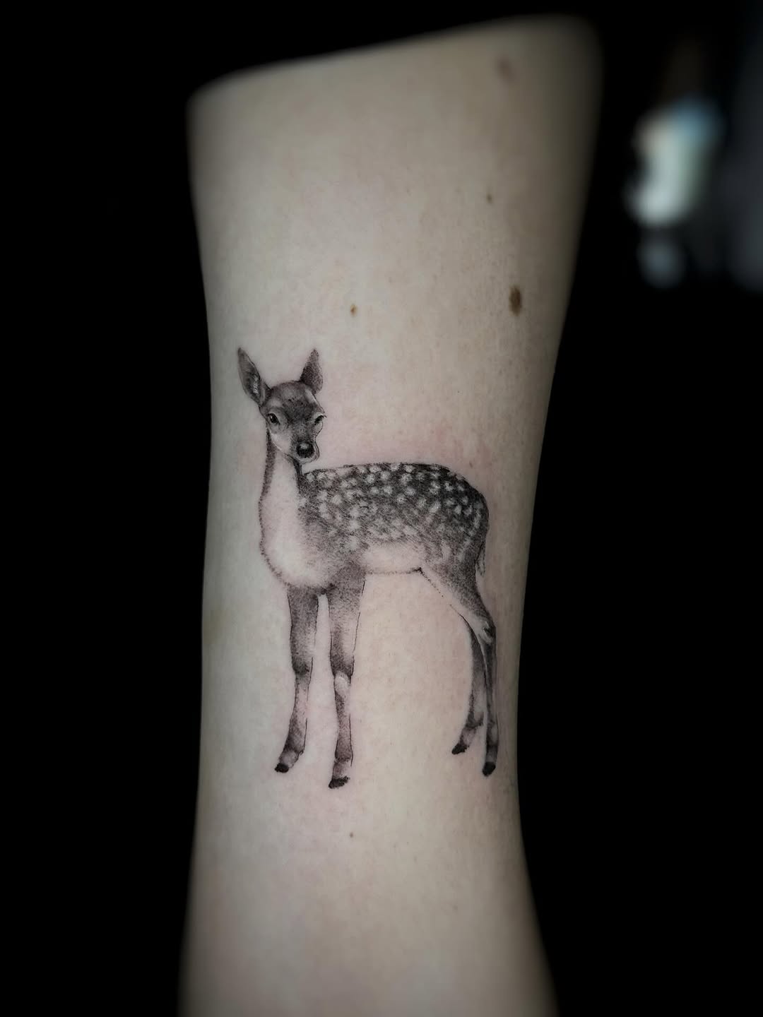 Tattoo by @saveriatattoos — realism, black_and_grey