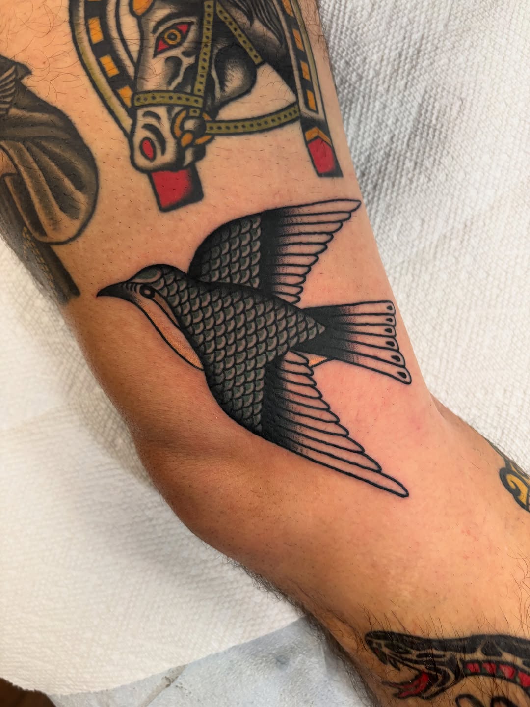 Tattoo by @benfiedler — american_traditional