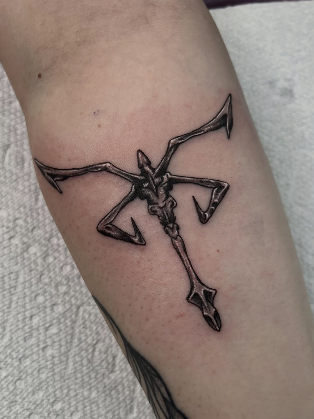 Tattoo by @death__frisbee — dark_realism, illustrative