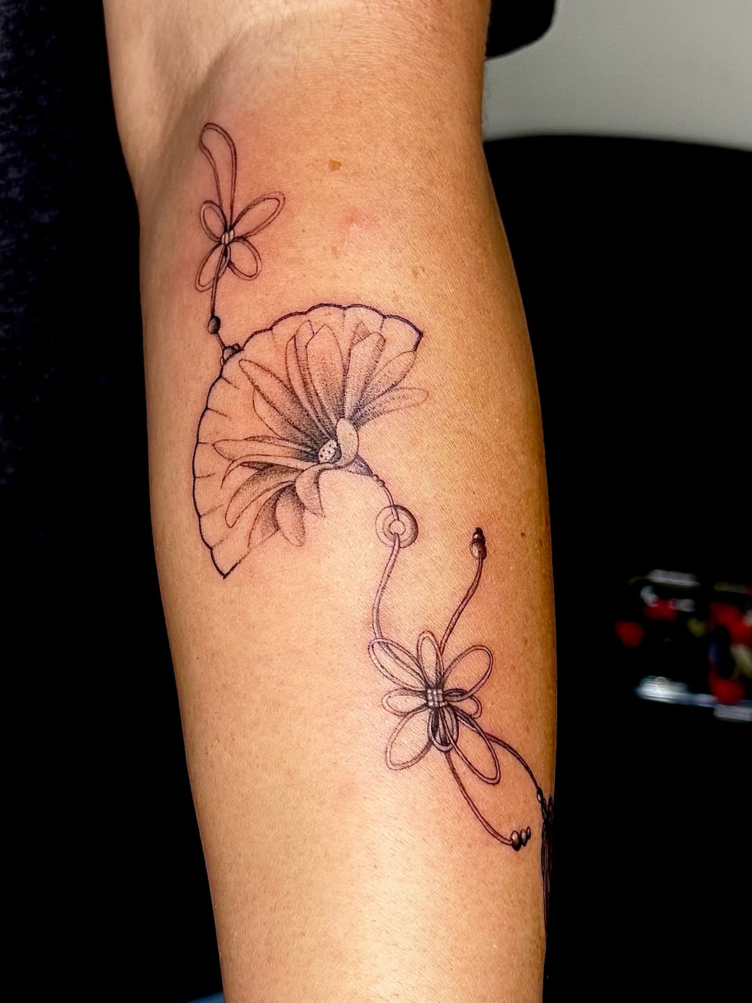Tattoo by @hansi.ink — fine_line, black_and_grey