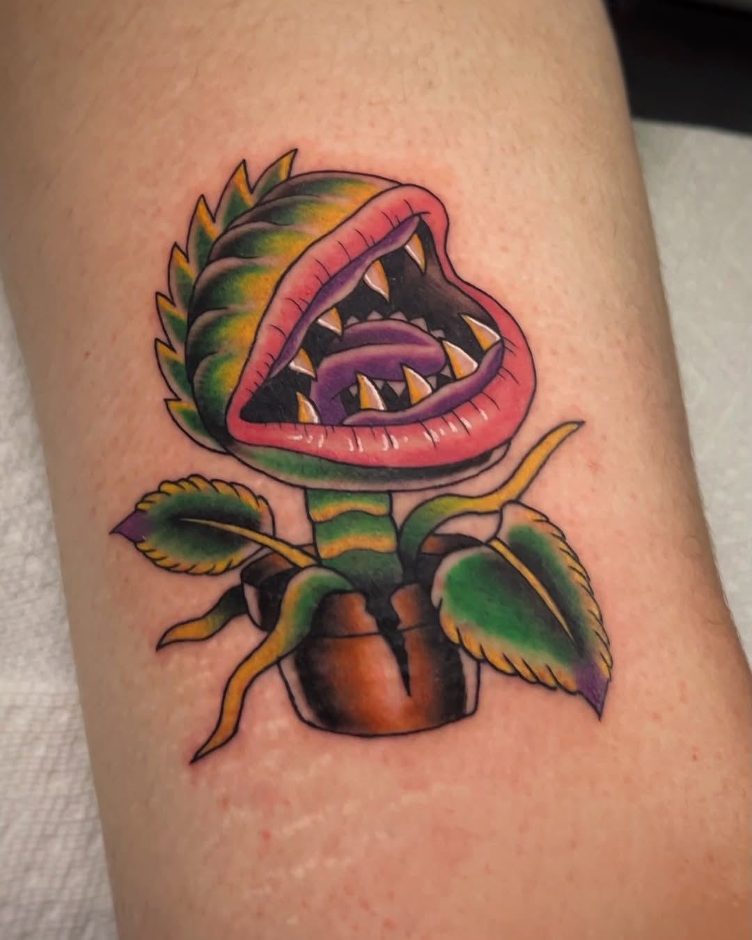 Tattoo by @snakesanddaggers โ american_traditional, new_school