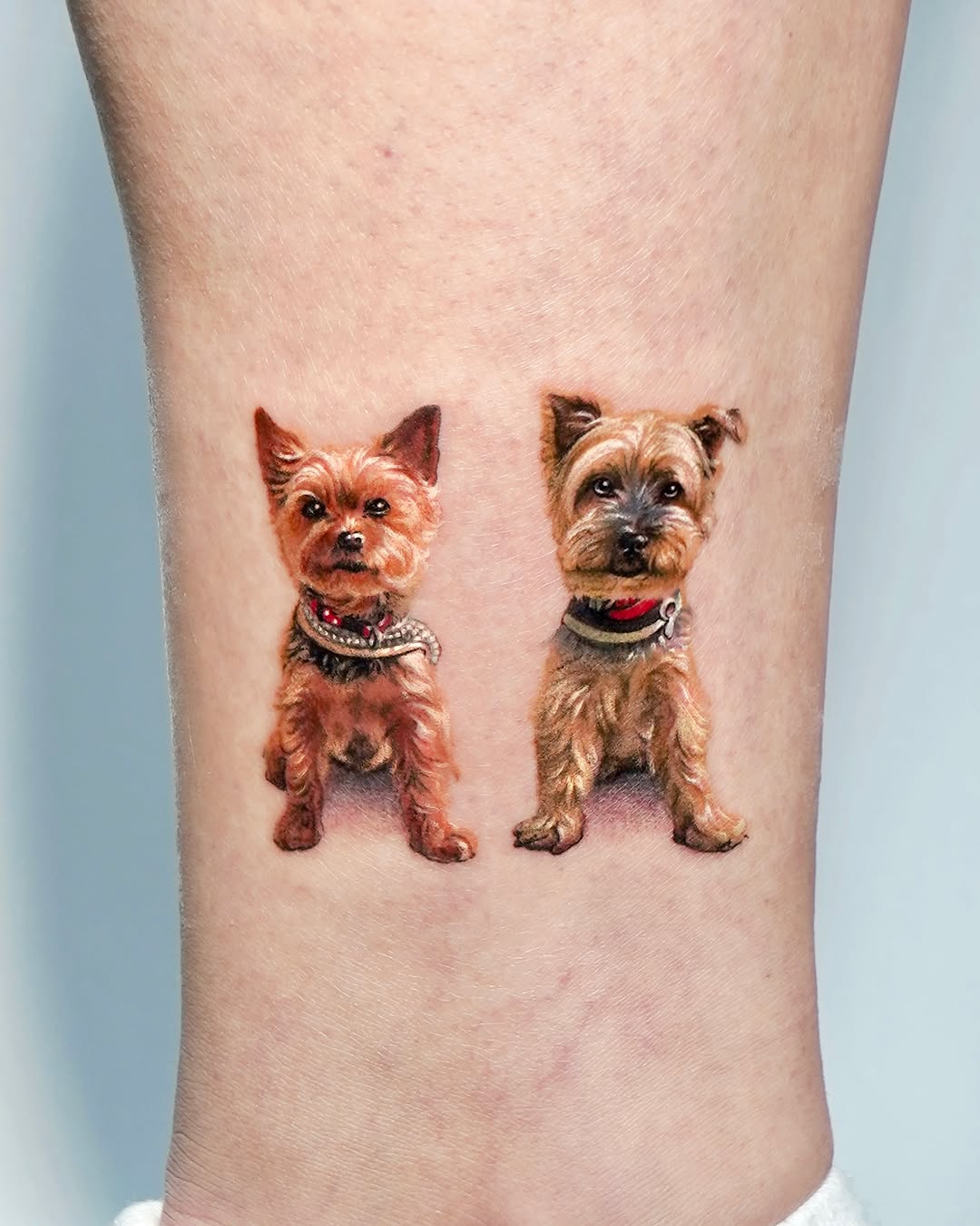 Tattoo by @harry_color — realism