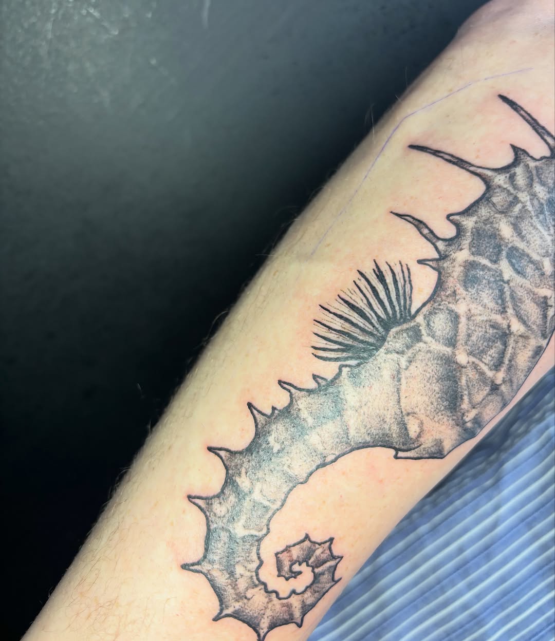 Tattoo by @whatashame.tattoos — black_and_grey, dotwork