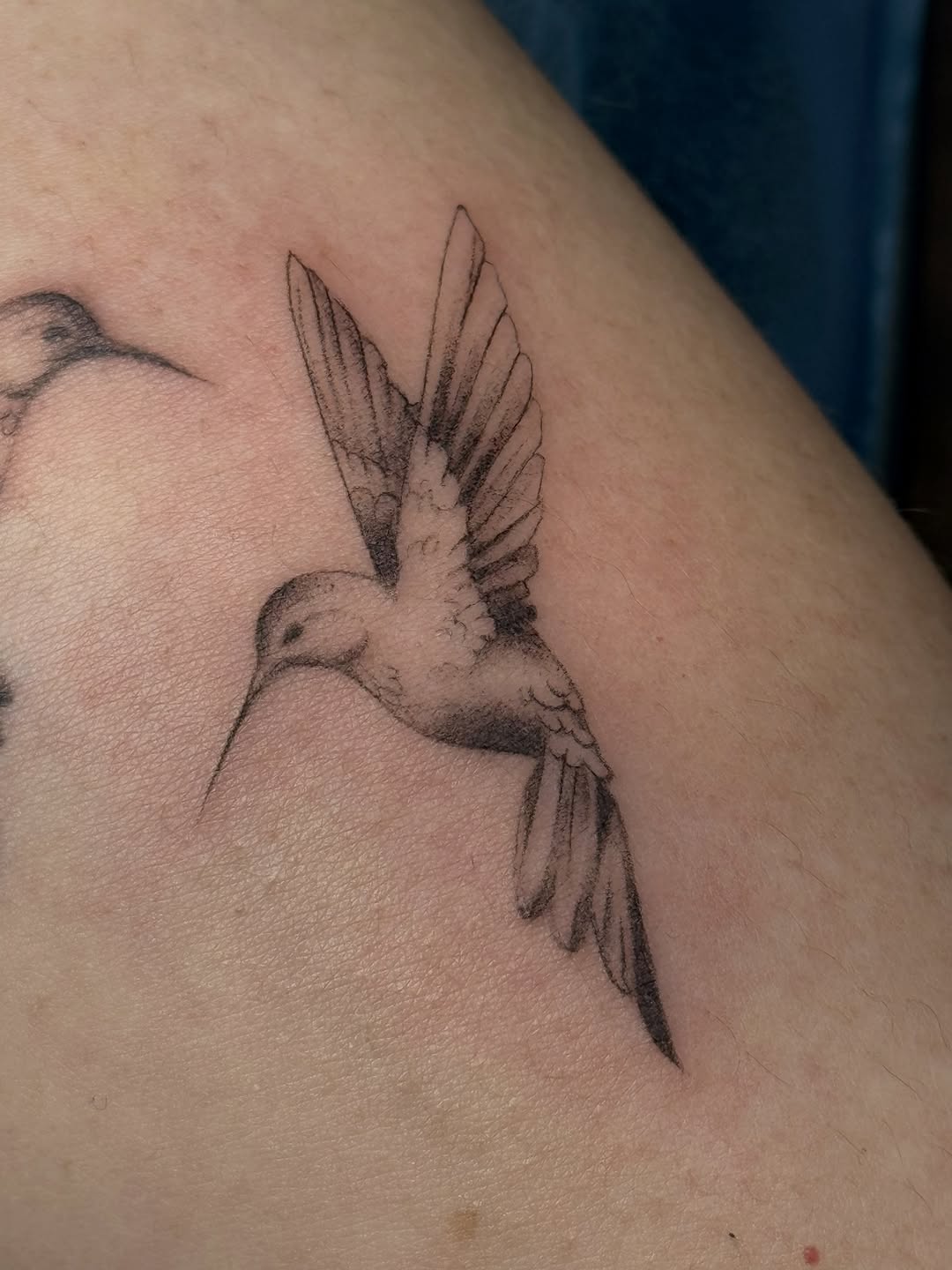 Tattoo by @avas.aesthetics__ — fine_line, black_and_grey