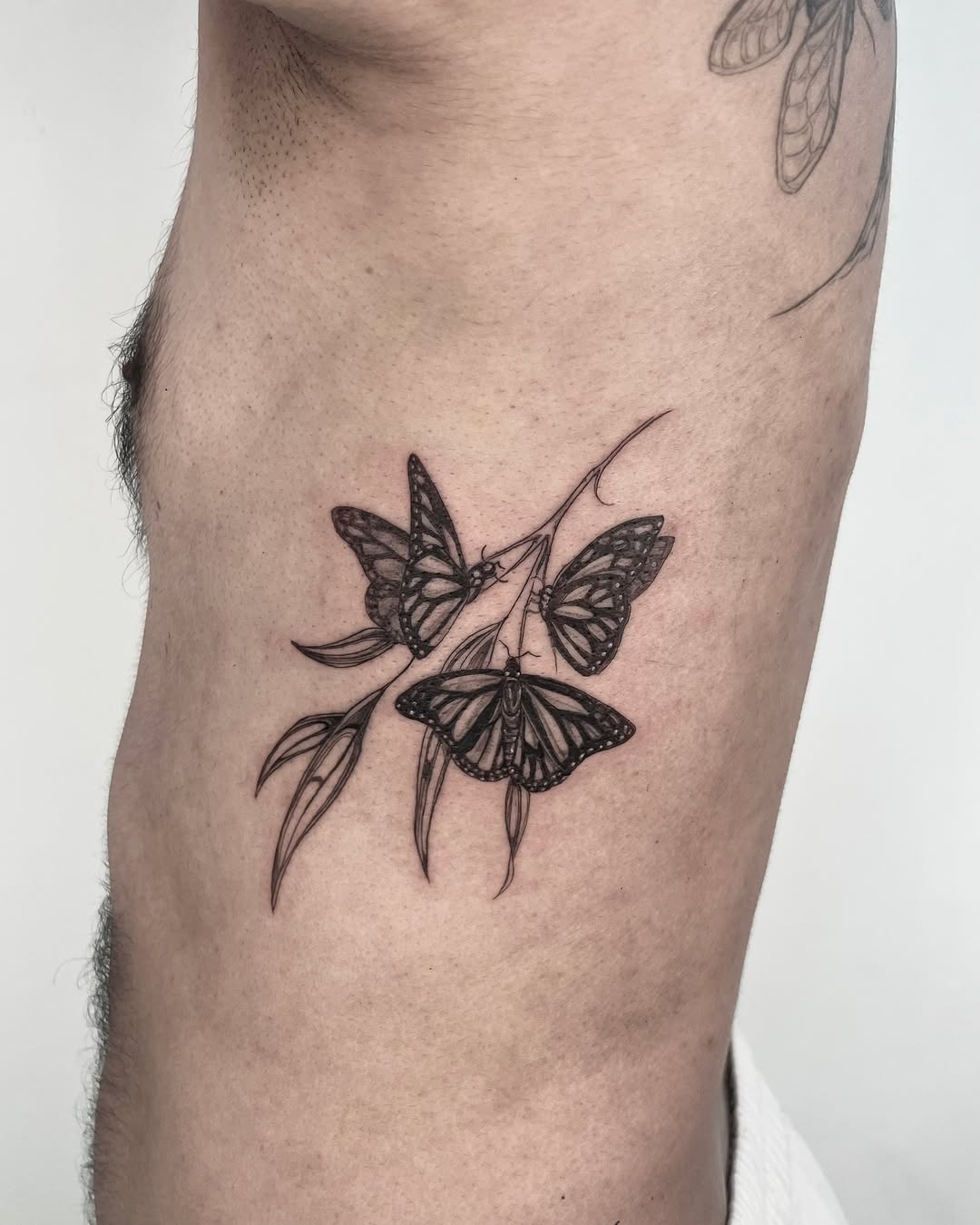 Tattoo by @teattoos β fine_line, illustrative