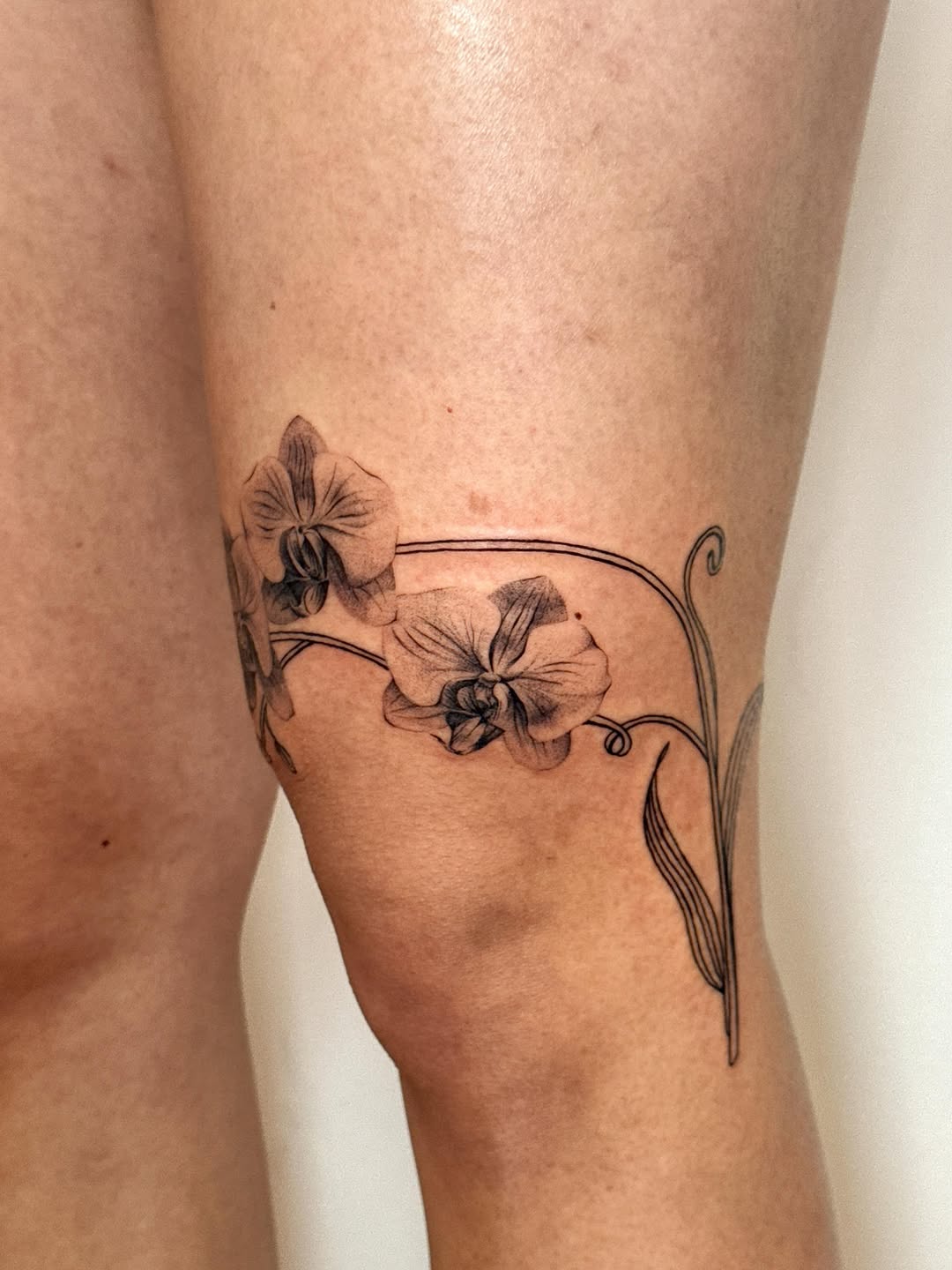 Tattoo by @_jackiesque โ fine_line