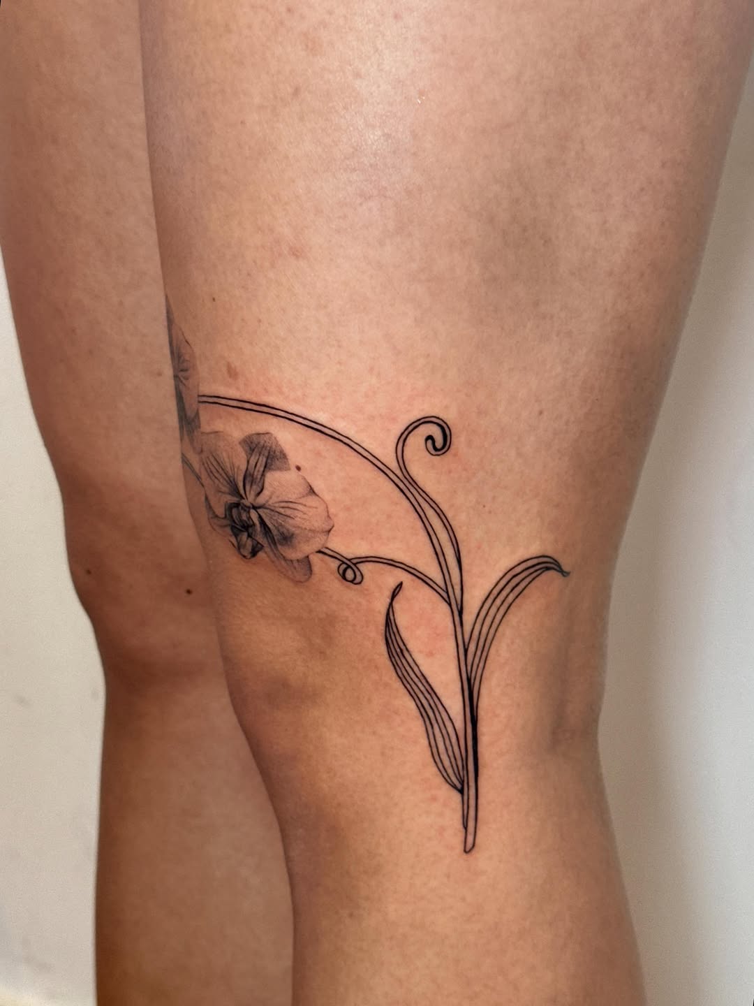 Tattoo by @_jackiesque โ fine_line