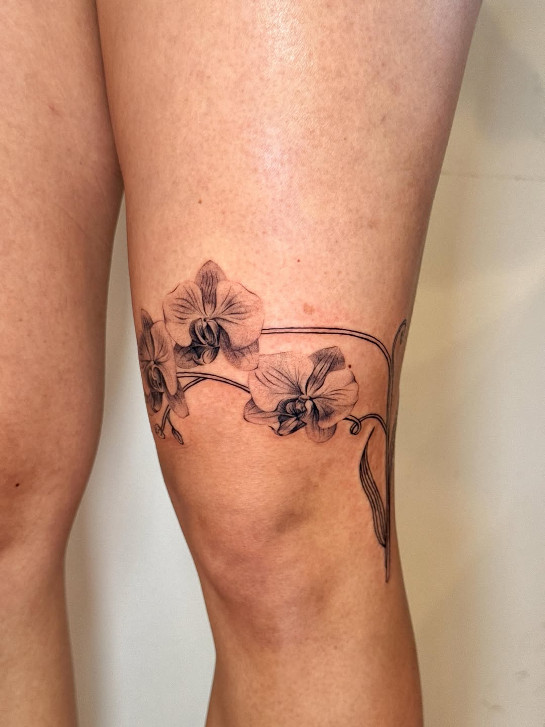 Tattoo by @_jackiesque โ fine_line