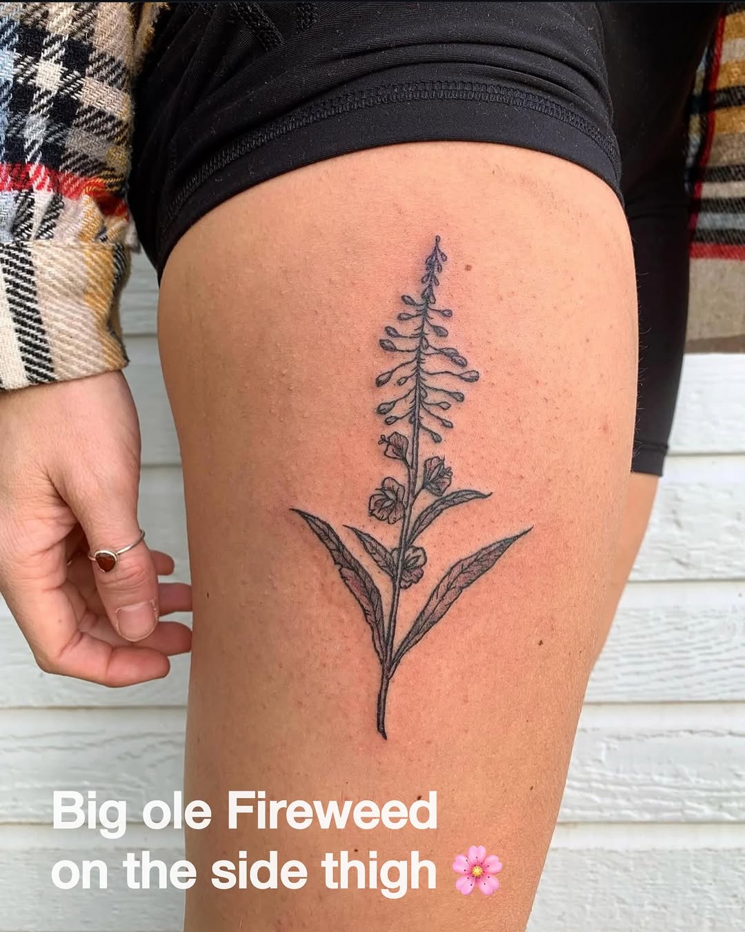 Tattoo by @smoothloom_tattoos β fine_line, black_and_grey
