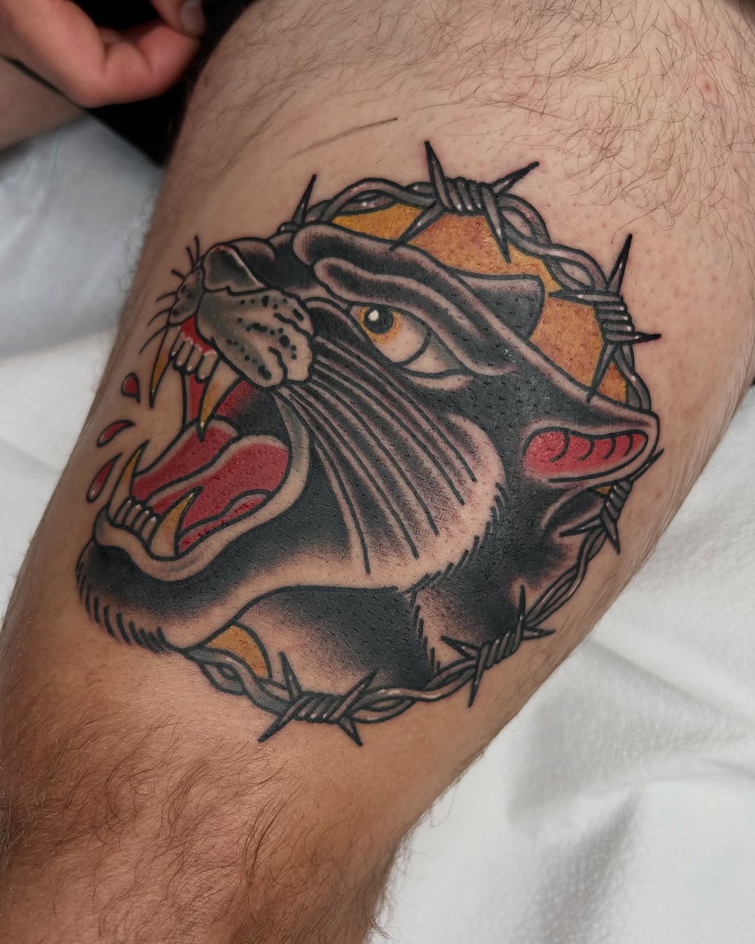 Tattoo by @noahcrowtattoo — american_traditional, illustrative