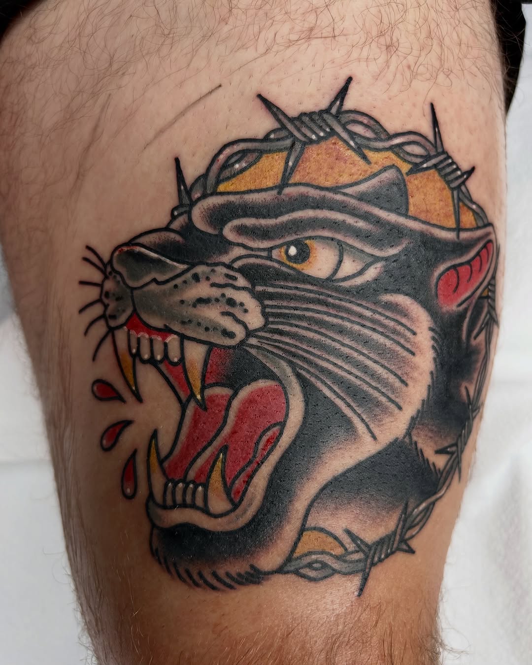 Tattoo by @noahcrowtattoo — american_traditional, illustrative