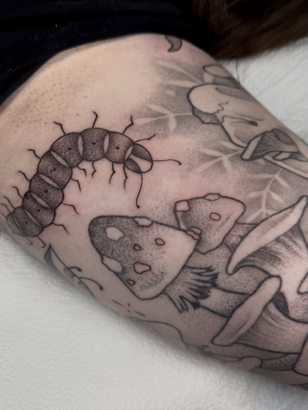 Tattoo by @allyghastly — black_and_grey, dotwork