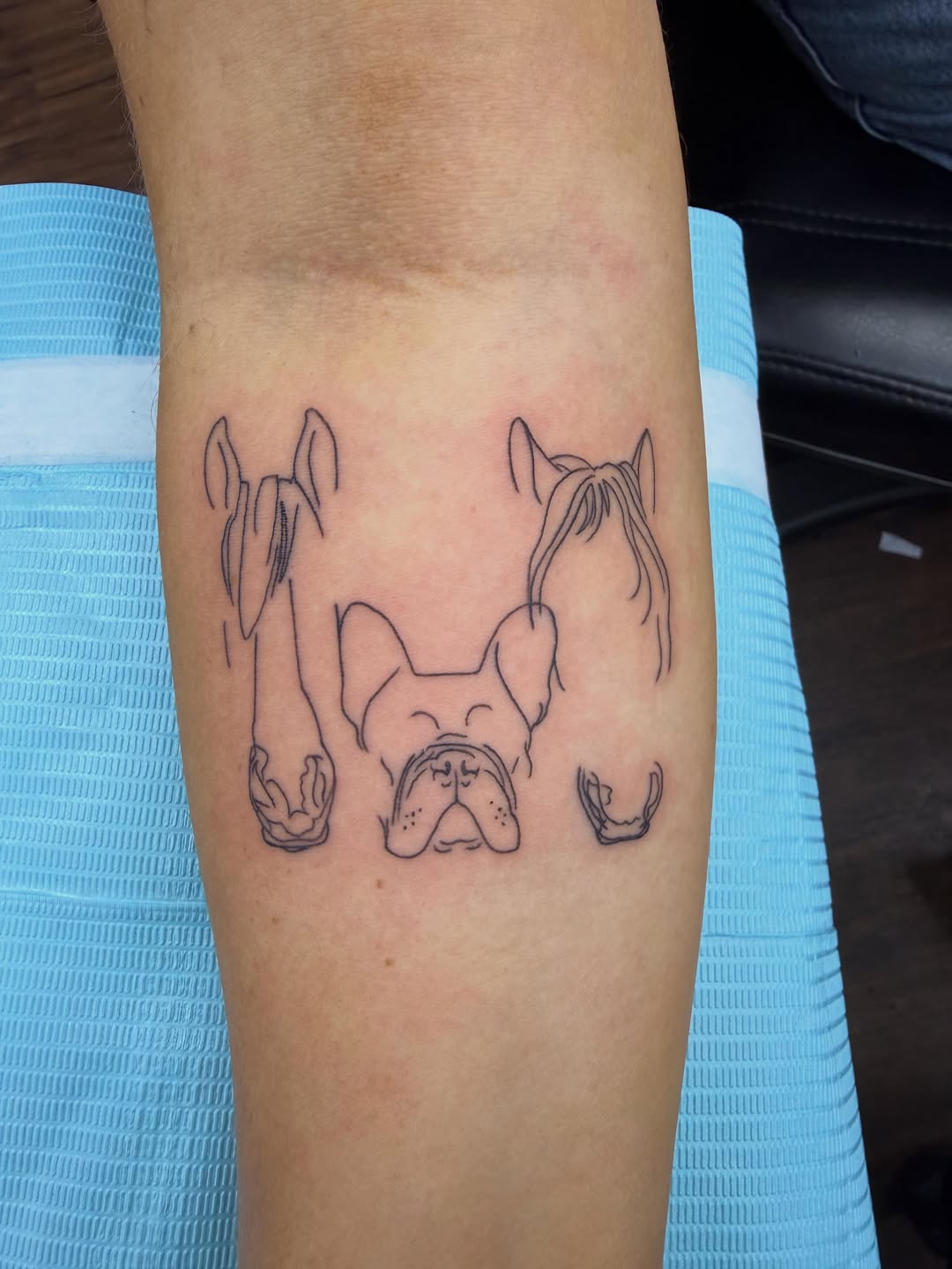 Tattoo by @aaronhassler_tattoos — illustrative, fine_line