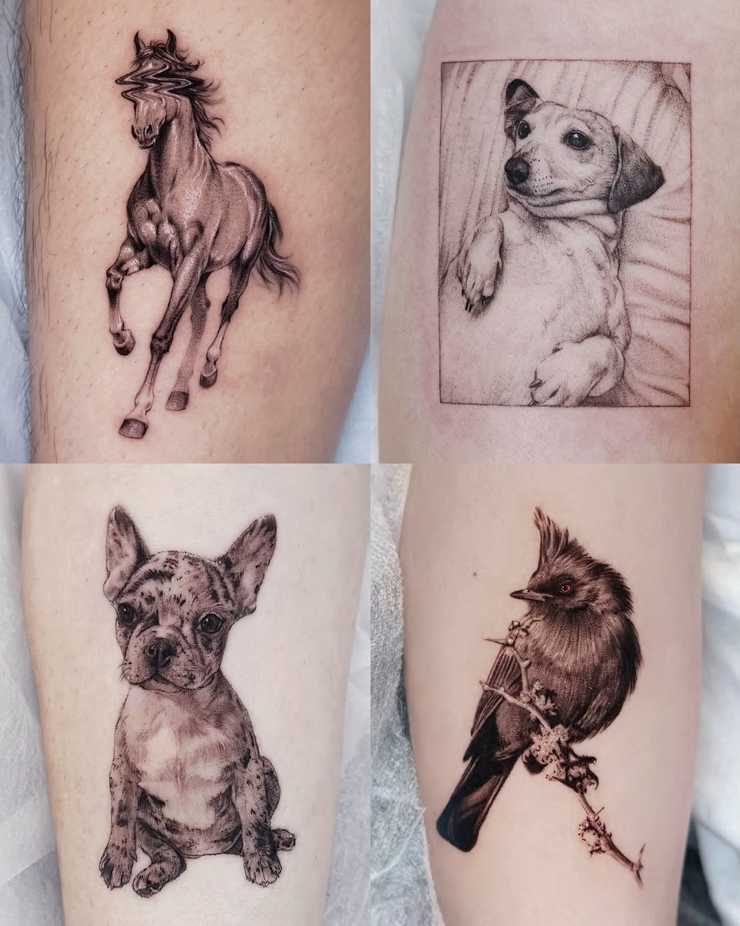 Tattoo by @lucyy.inked โ realism, black_and_grey