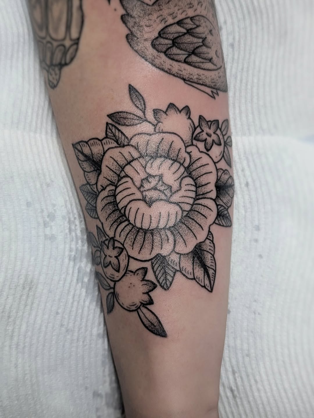 Tattoo by @daniturkeysammie — dotwork