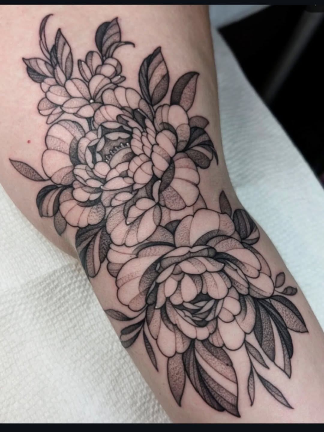 Tattoo by @kattiebaby β dotwork, black_and_grey