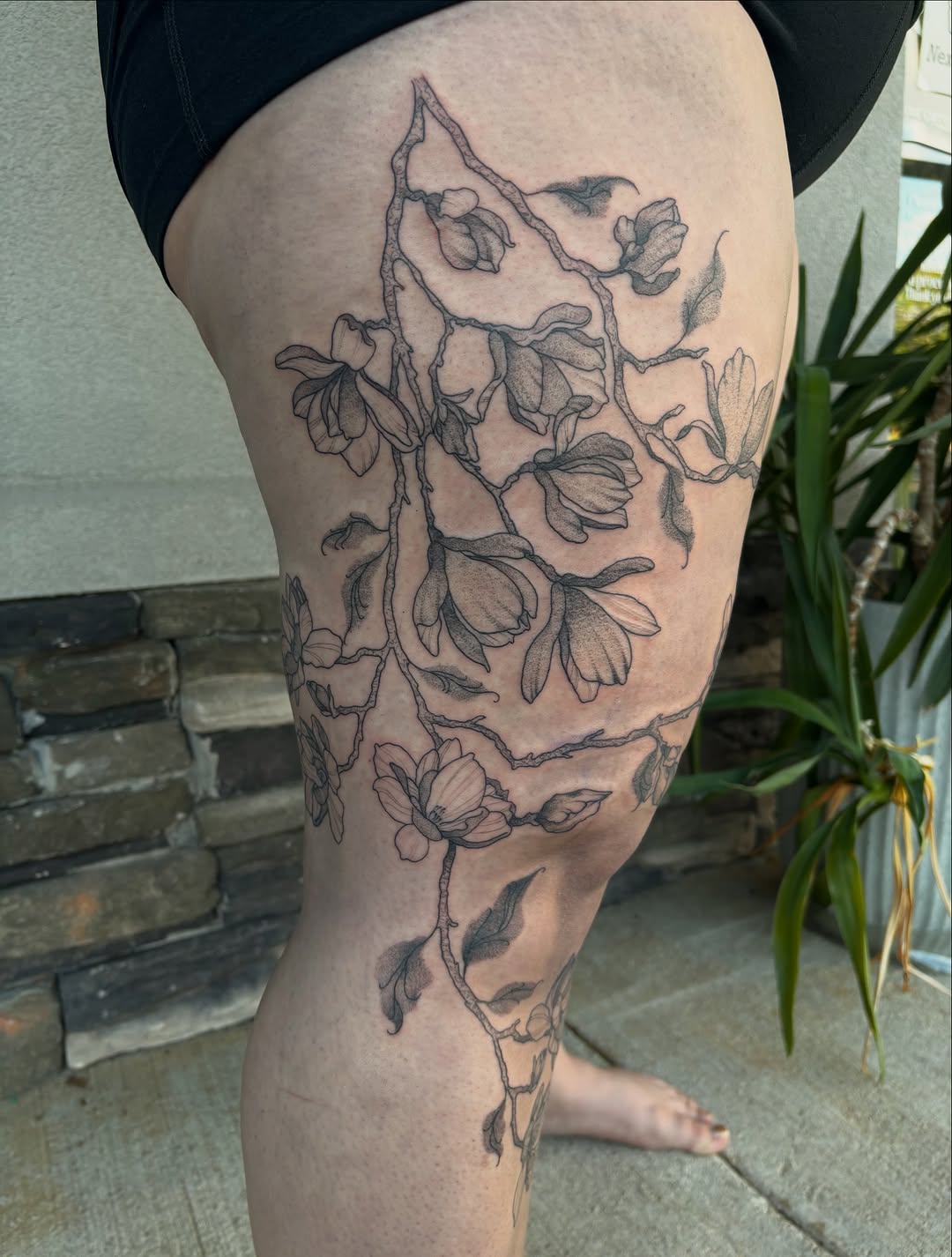 Tattoo by @fernwilds_tattoo โ fine_line, black_and_grey
