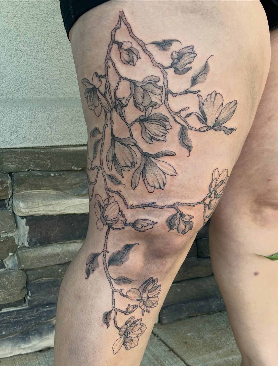Tattoo by @fernwilds_tattoo โ fine_line, black_and_grey