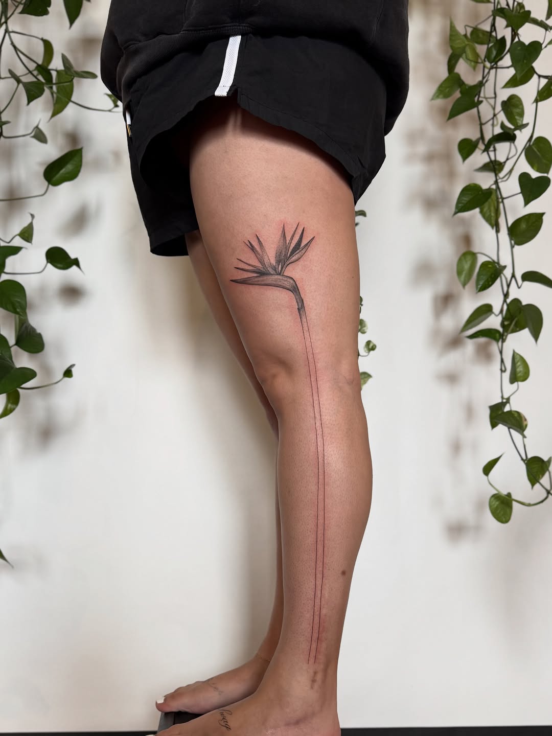 Tattoo by @inkdbyjasmine — fine_line, illustrative