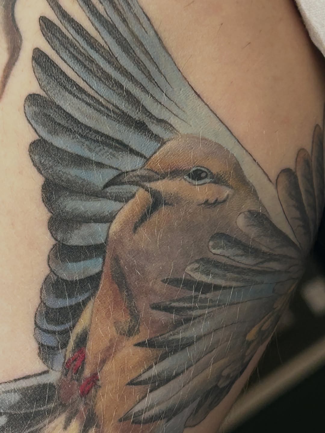 Tattoo by @eternalskye.art — realism, black_and_grey