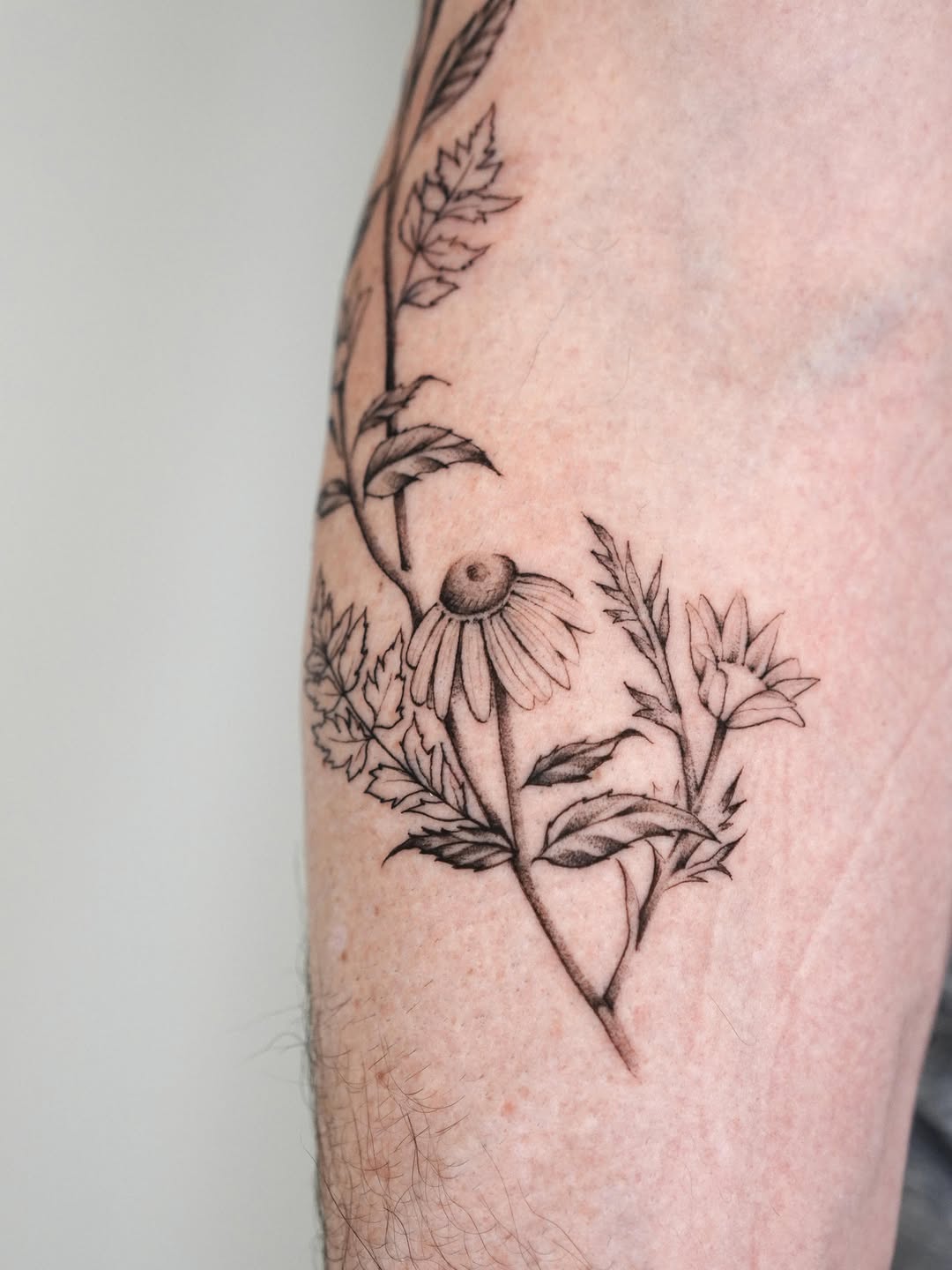 Tattoo by @mariannaddking — fine_line, illustrative