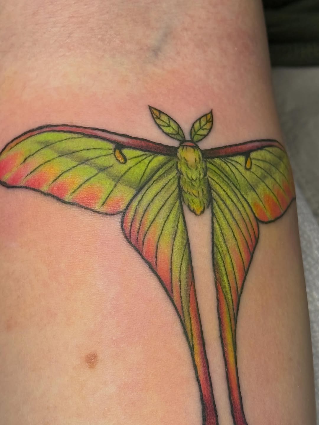 Tattoo by @bubblegum_and_bones — realism