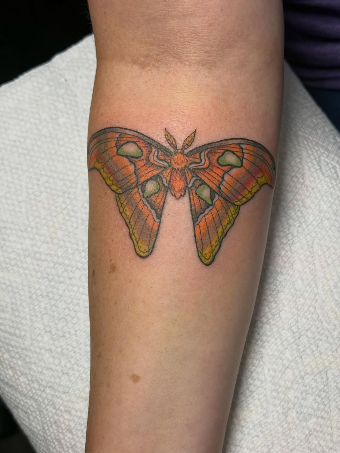 Tattoo by @bubblegum_and_bones — realism